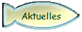 Aktuelles