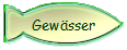 Gewsser