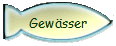 Gewsser